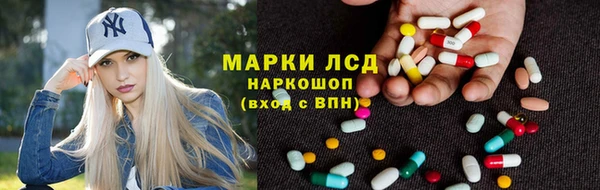 ПСИЛОЦИБИНОВЫЕ ГРИБЫ Абаза
