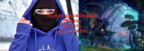 ПСИЛОЦИБИНОВЫЕ ГРИБЫ Абаза