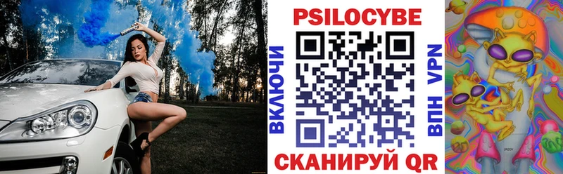 Галлюциногенные грибы Psilocybine cubensis  Шарья 